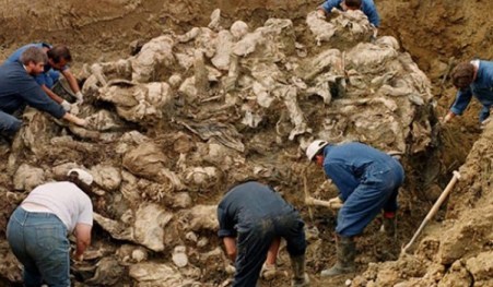 tomasica_masovna-600x350