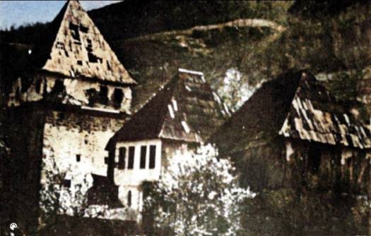 A Staro Selo, Hamid Habibović