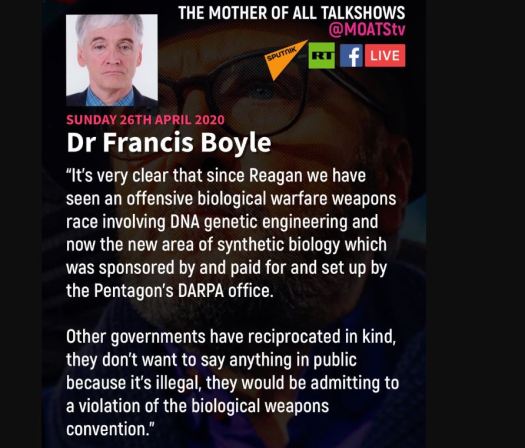 Boyle virus